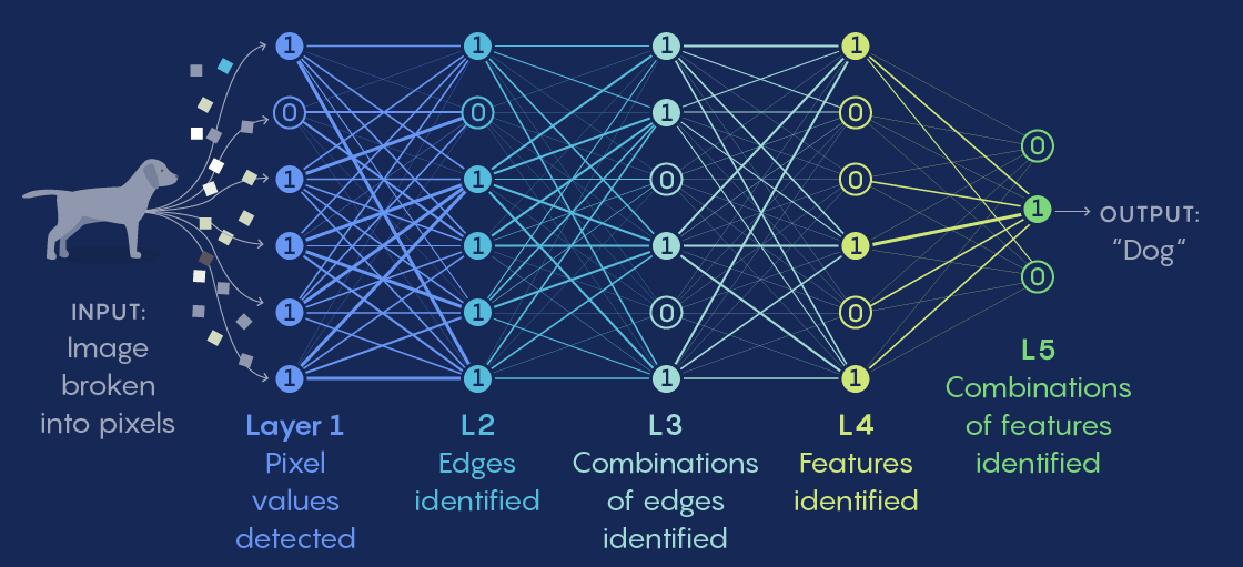 Illustration of the rise in abstraction of representation across successive neuron layers.